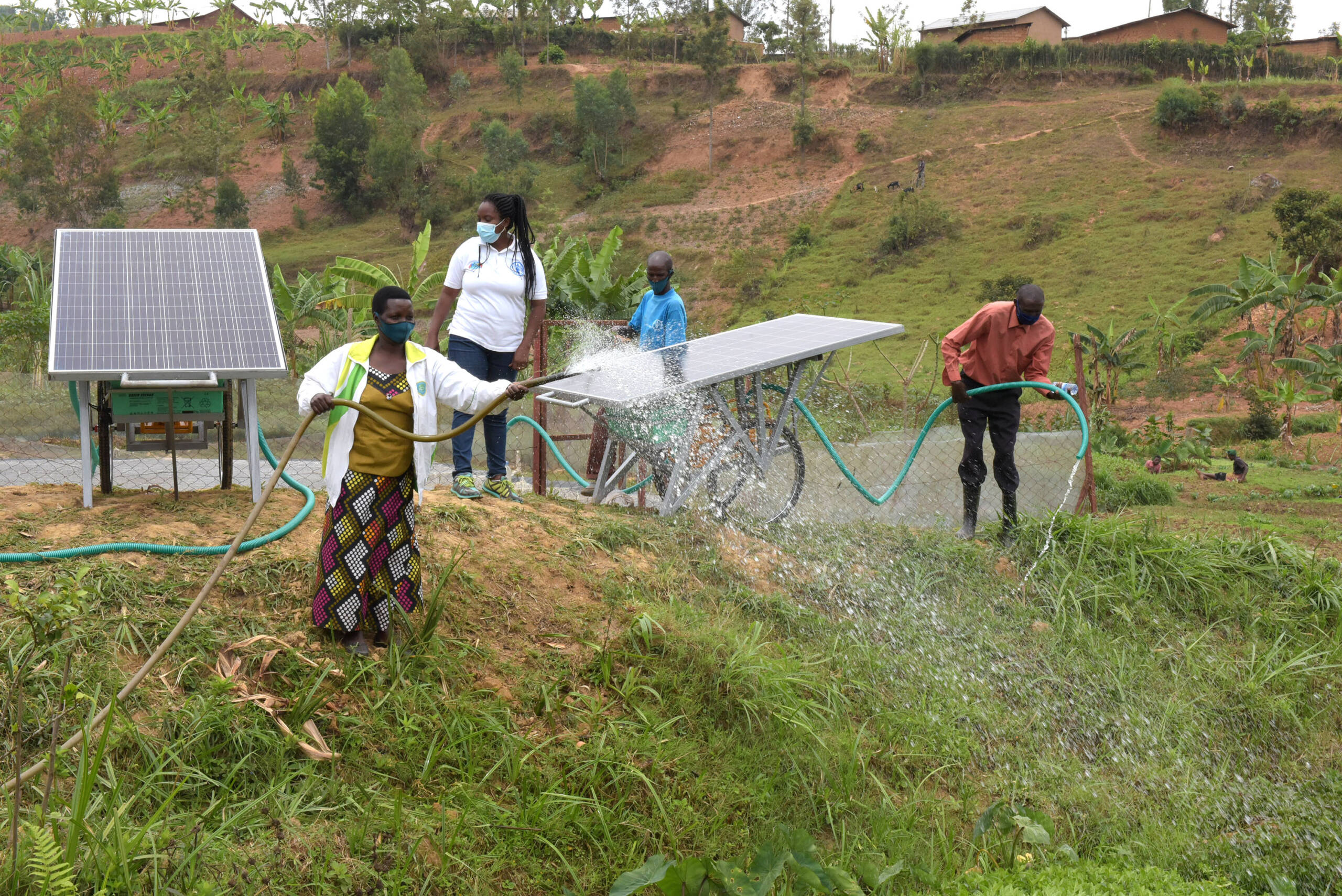 Agrifood systems