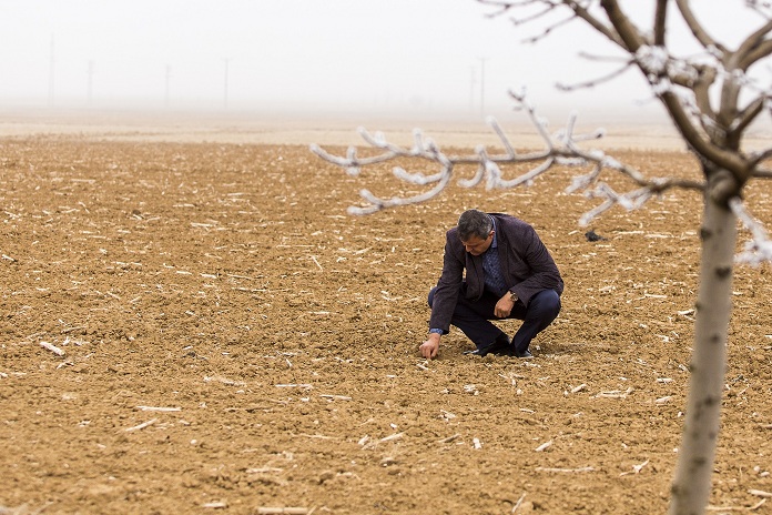 Konya Ovası'na geçen yıla göre yüzde 75 daha az yağış düşmesi soğuklar ve don gelmeden kar yağışının beklentisini artırdı.  (Orhan Akkanat - Anadolu Ajansı)