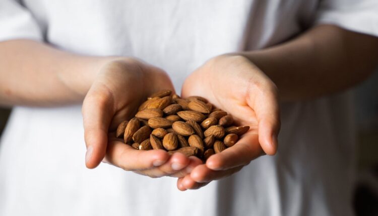 Almond in a womans hands. Almonds nuts is a healthy vegetarian protein and nutritious food. Nuts in a humans hand.