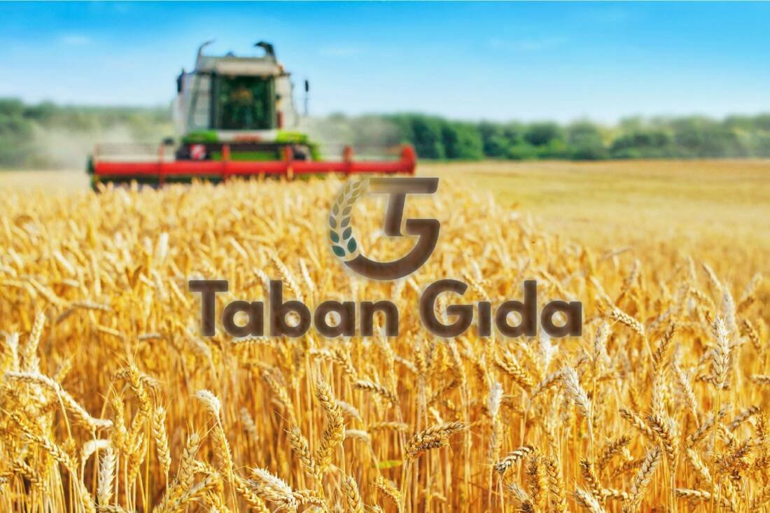 Taban Gıda, Rusya-Ukrayna Savaşı'nın Tarım Sektörüne Etkilerini Değerlendirdi