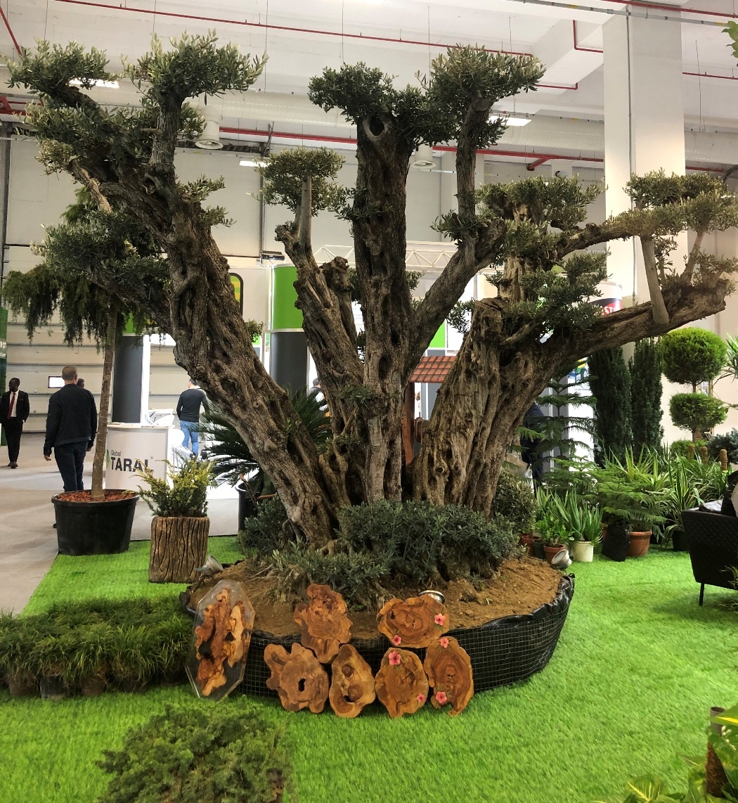 The Flower and Plant Show’un Yeni Tarihleri Açıklandı