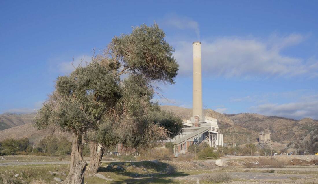Milas'ın Geleceği "AB Tescilli" Zeytinyağında