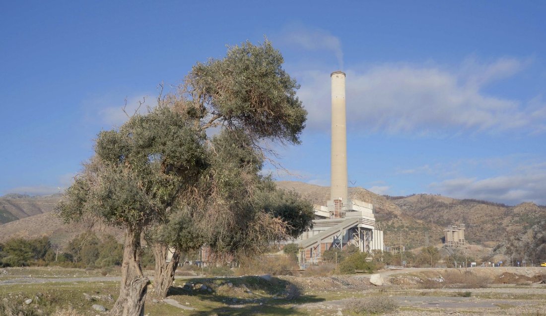 Milas'ın Geleceği "AB Tescilli" Zeytinyağında