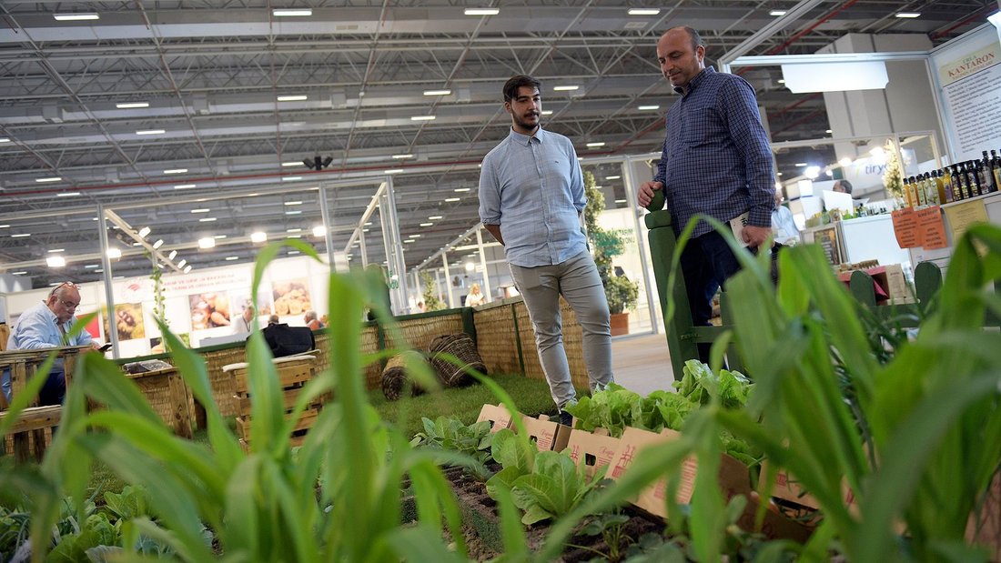 Zeytin ve Organik Sektörü İzmir’de Buluşuyor