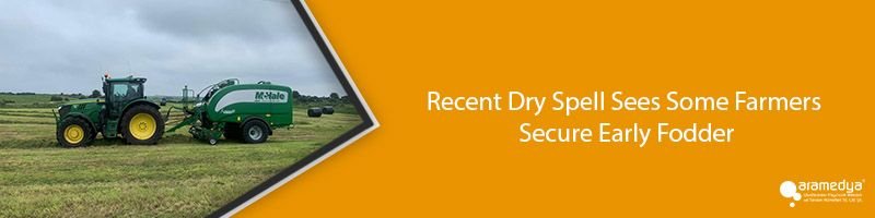 Recent Dry Spell Sees Some Farmers Secure Early Fodder