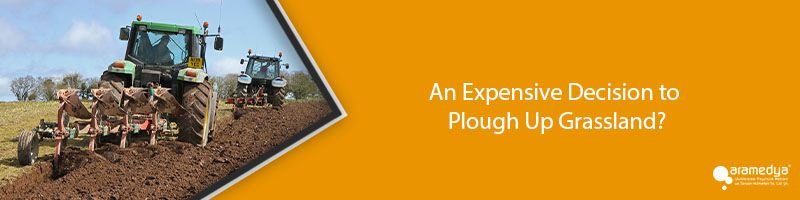 An Expensive Decision to Plough Up Grassland?