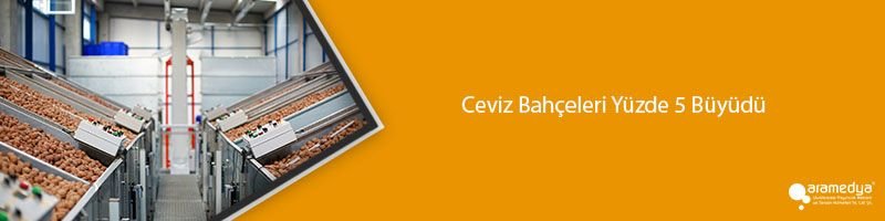 Ceviz Bahçeleri Yüzde 5 Büyüdü
