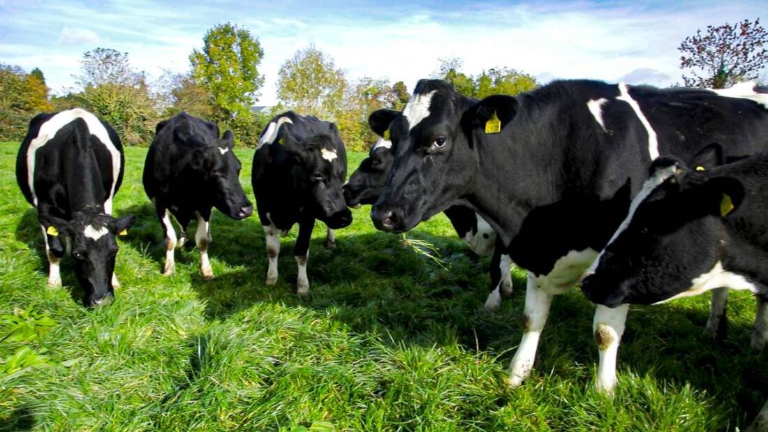 Permit System Will ‘Regulate Family Farms Out of Existence’