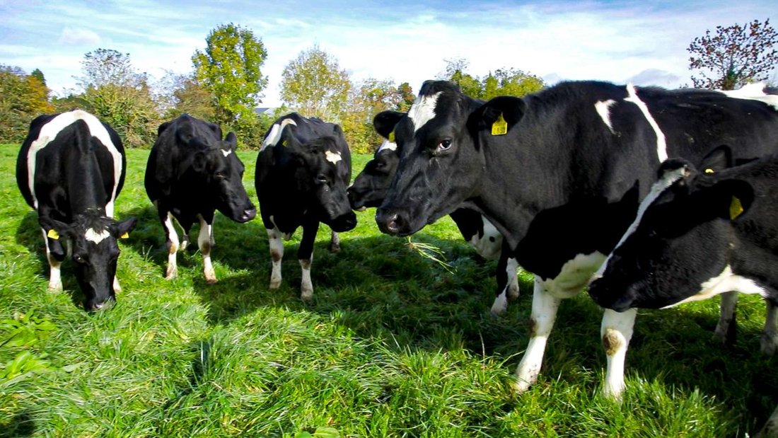 Permit System Will ‘Regulate Family Farms Out of Existence’