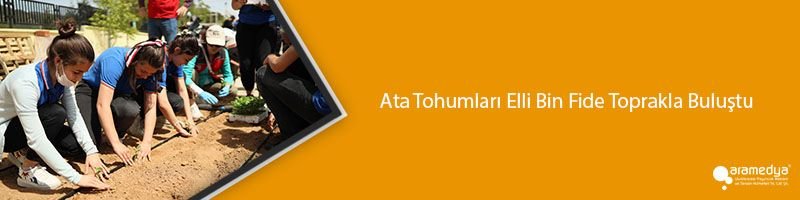 Ata Tohumları Elli Bin Fide Toprakla Buluştu