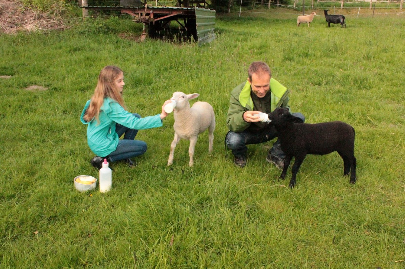 TaTuTa Ekolojik Çiftlikleri Ziyaretçilerini Bekliyor