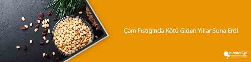 Çam Fıstığında Kötü Giden Yıllar Sona Erdi