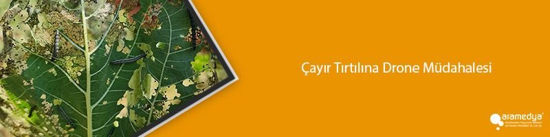 Çayır Tırtılına Drone Müdahalesi