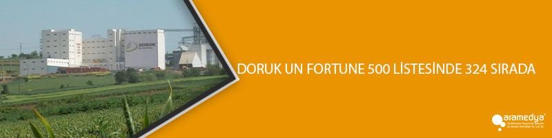 DORUK UN FORTUNE 500 LİSTESİNDE 324 SIRADA