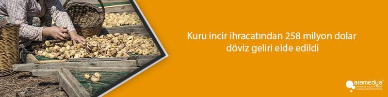 Kuru incir ihracatından 258 milyon dolar döviz geliri elde edildi