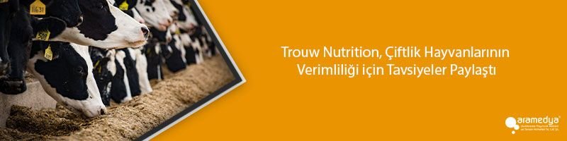 Trouw Nutrition, Çiftlik Hayvanlarının Verimliliği için Tavsiyeler Paylaştı