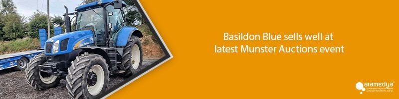 Basildon Blue sells well at latest Munster Auctions event