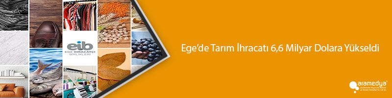 Ege’de Tarım İhracatı 6,6 Milyar Dolara Yükseldi