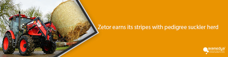Zetor earns its stripes with pedigree suckler herd