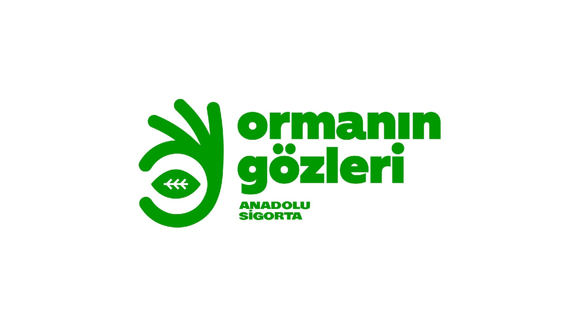Ormanın Gözleri