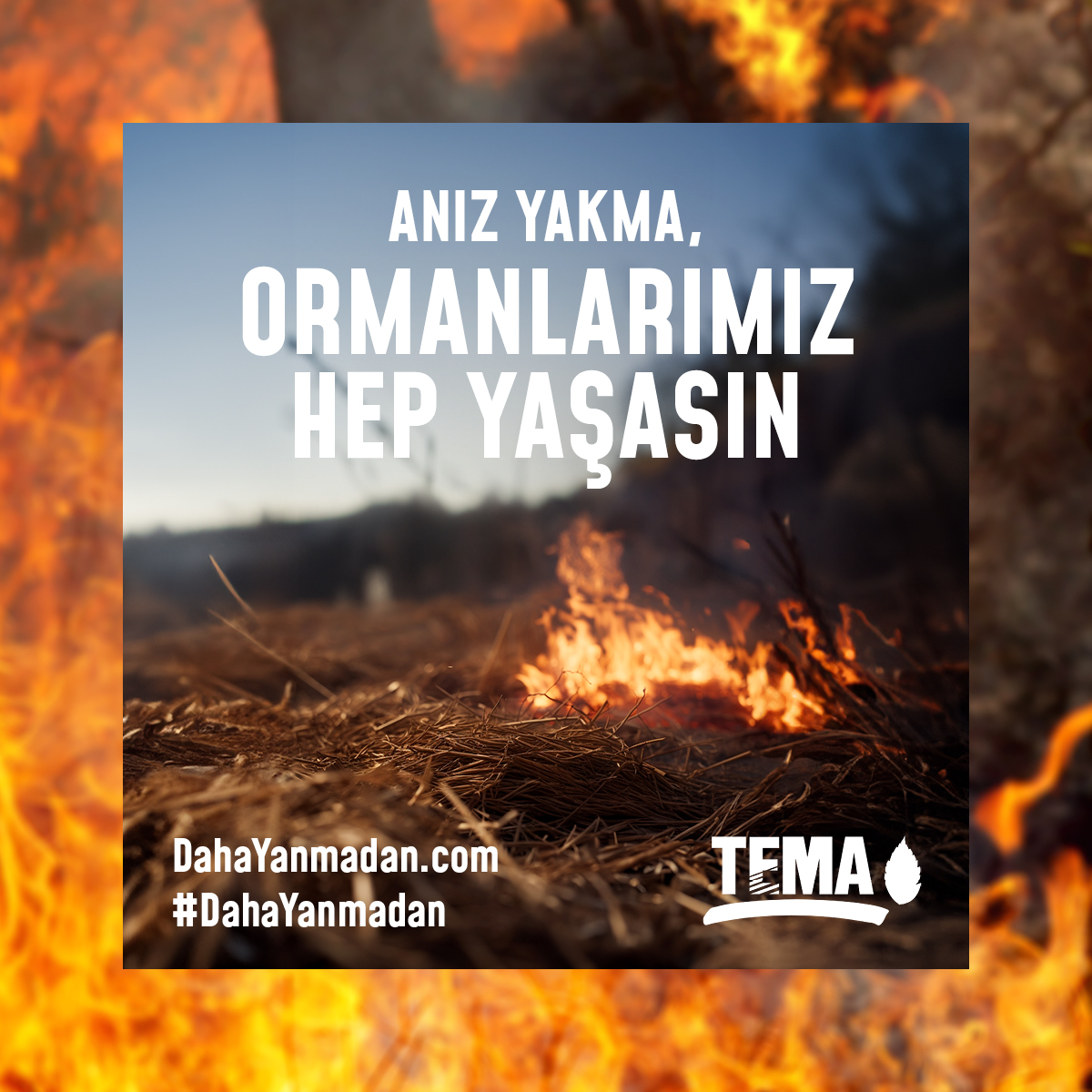 Tema Vakfı