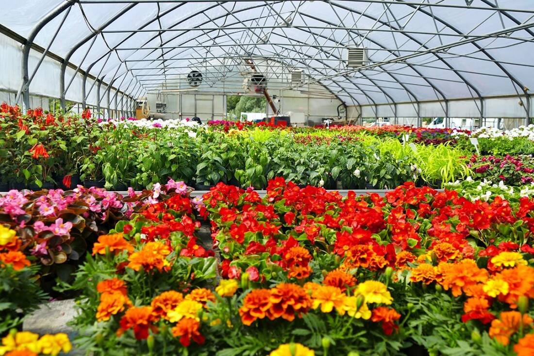 Royal FloraHolland
