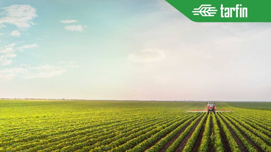 Tarfin PRO