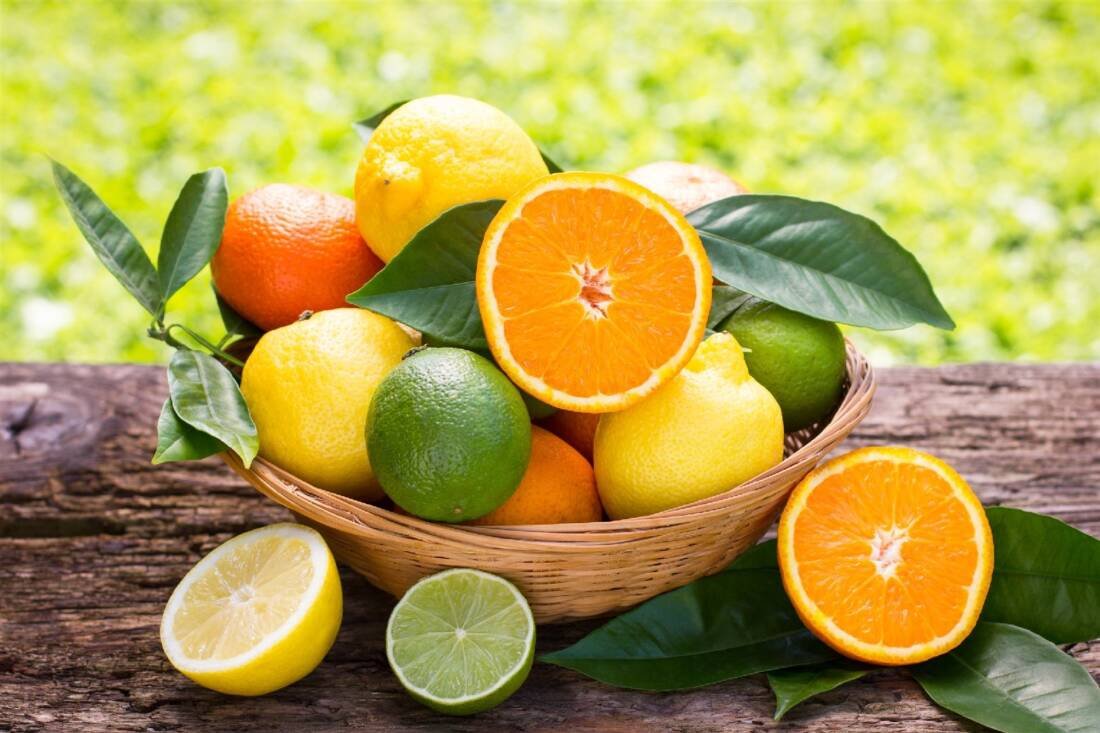 Citrus Exports