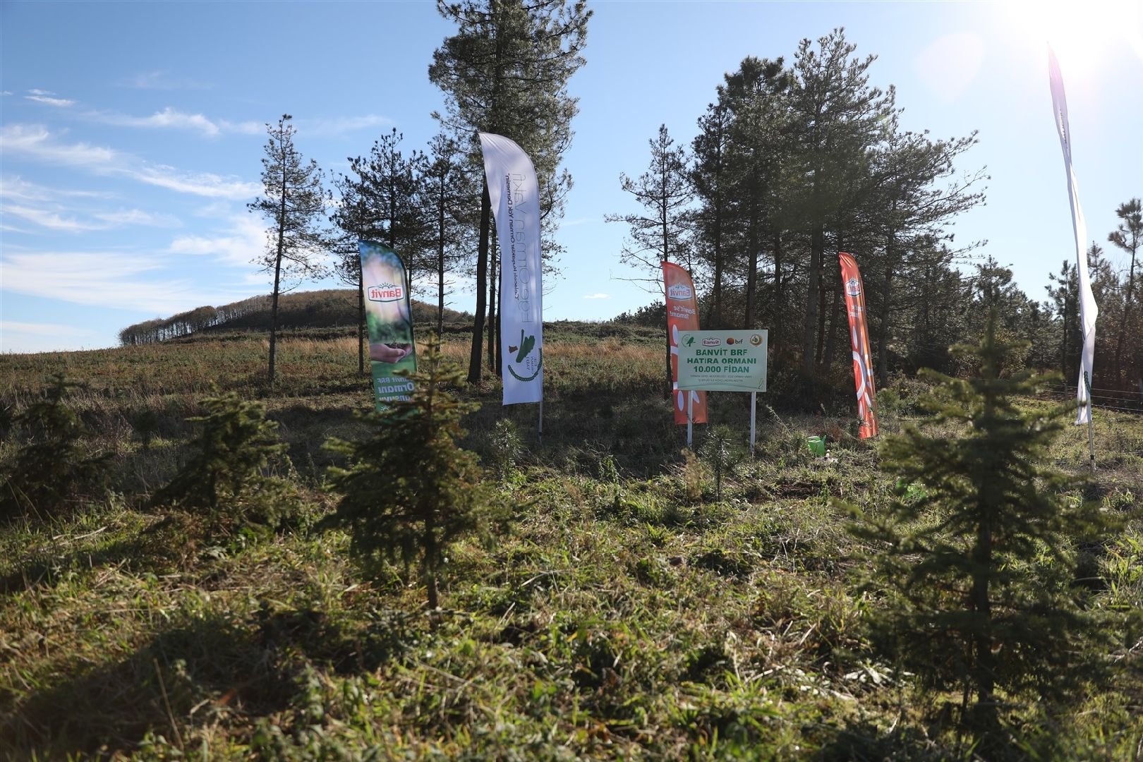 Banvit BRF Ormanları