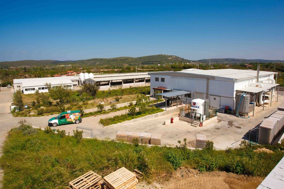Baltalı Gıda