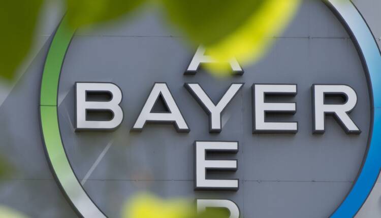 bayer