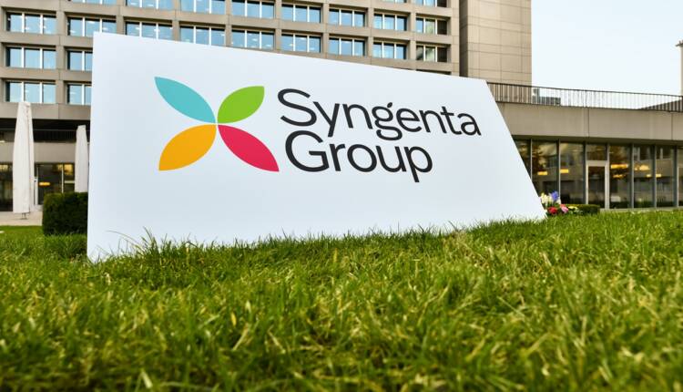syngenta