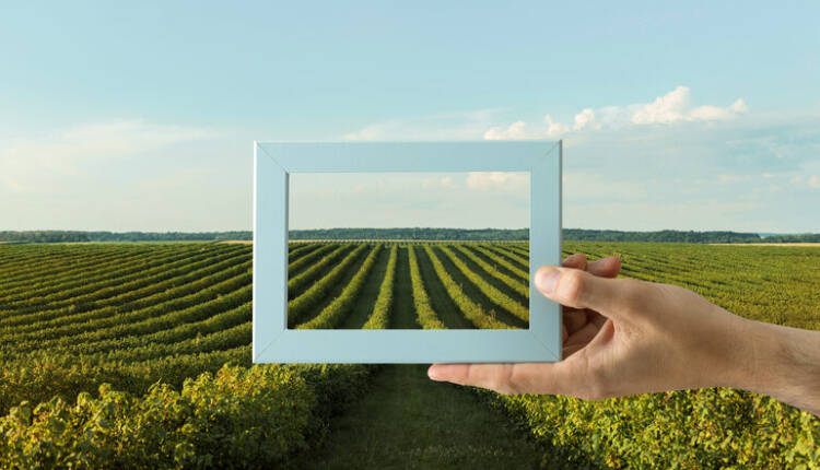 Origin Agritech