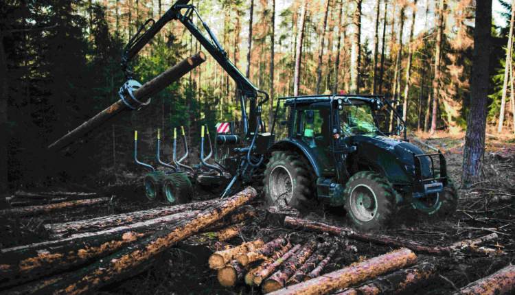 Heavy,Industrial,Machinery,Working,In,The,Forest.,Harvester,In,A