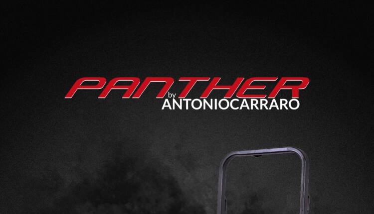Panther_Solo