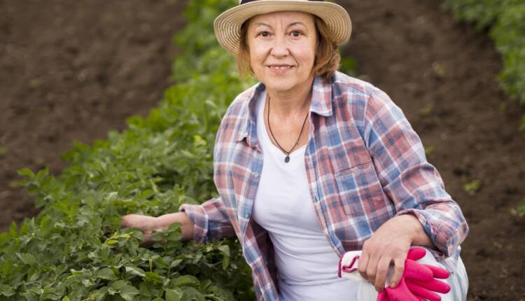 elder-woman-staying-plant-her-garden